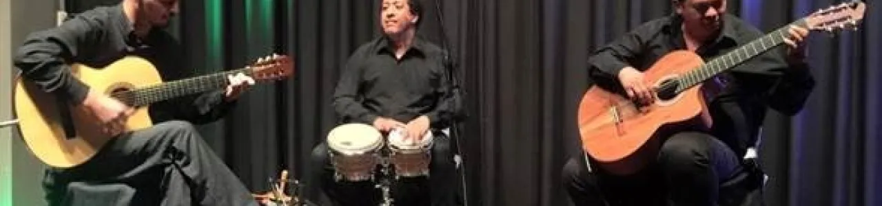 Músicos Indío