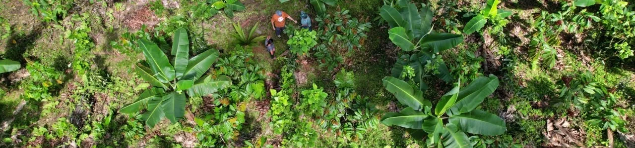 OSAGRO