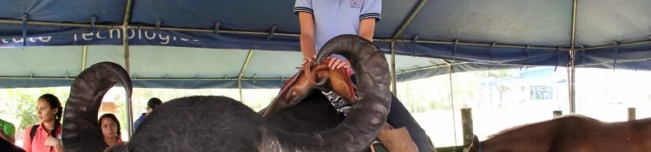 Feria vocacional