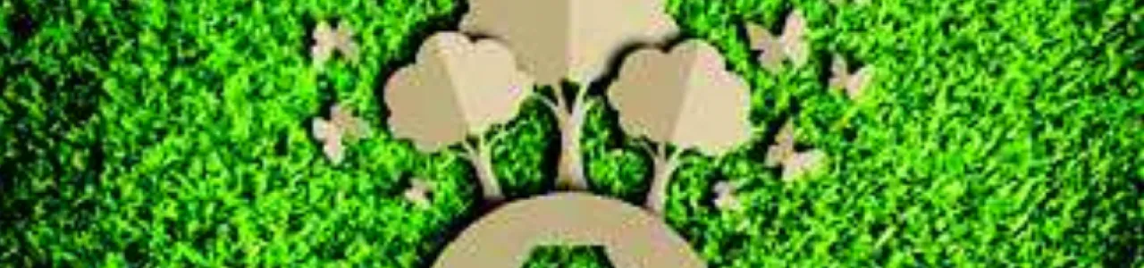 Desarrollo de la metodología de análisis integrado de semen en ganado Bos indicus