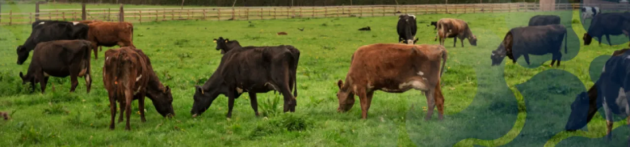 Tecnologías de reproducción asistida y conservación en especies ganaderas y silvestres