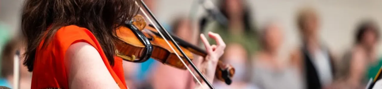 Violín
