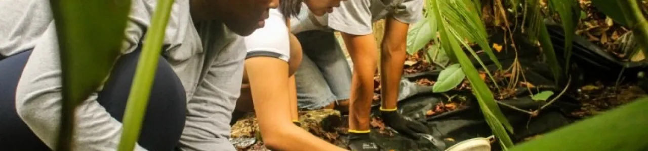 Voluntarios realizando tareas en el campo