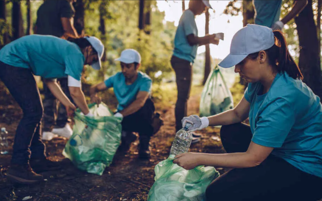 voluntarios recogiendo botellas de plástico