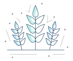  Manejo de plantaciones forestales 