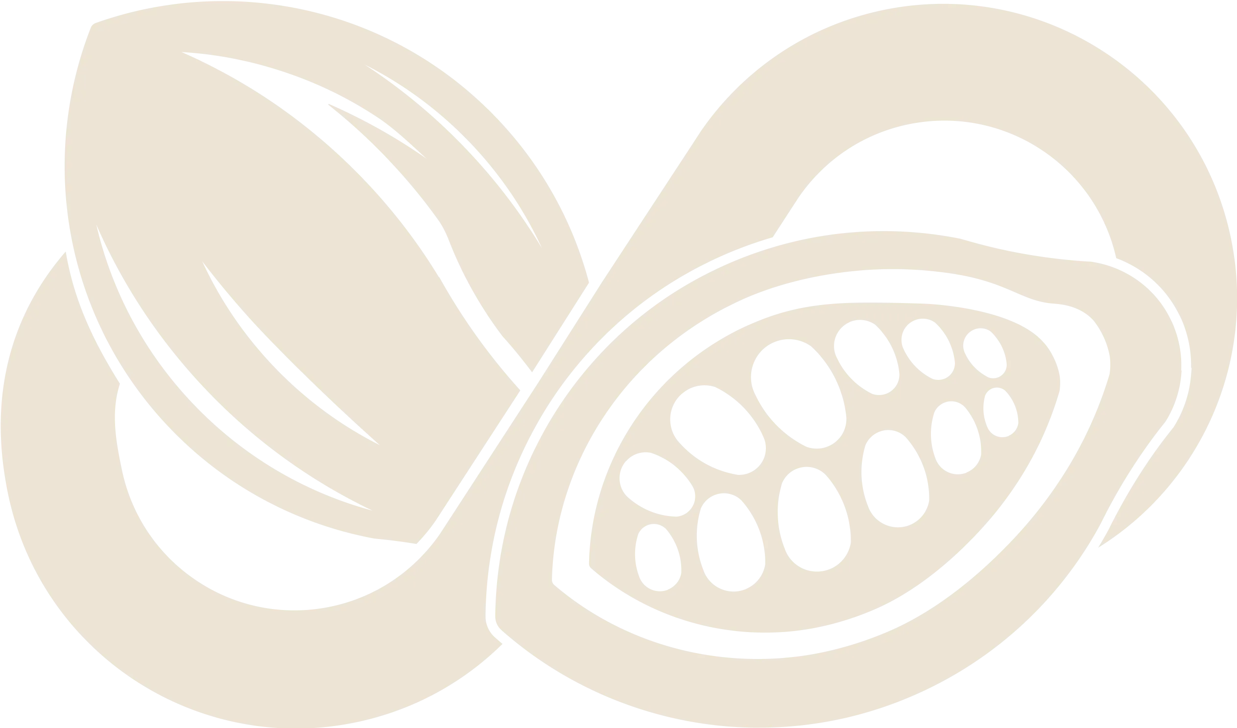 cacao biocircular