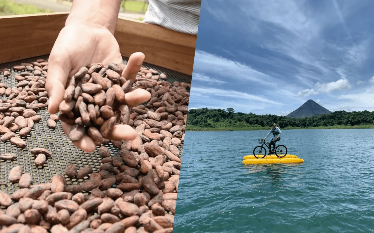 imagen de cacao y destino turístico