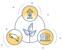 Vinculación socioproductiva