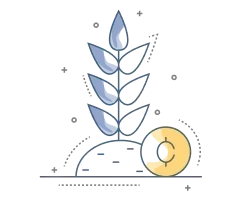 Producción primaria agrícola 