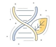 Producción primaria pecuaria
