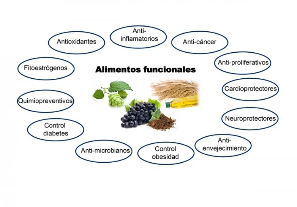 alimentos