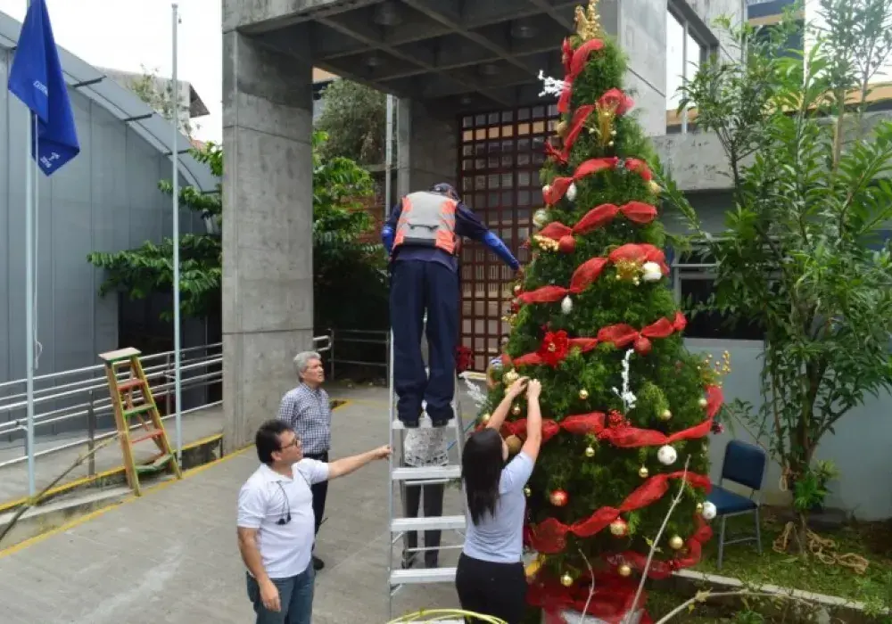 Árbol de navidad