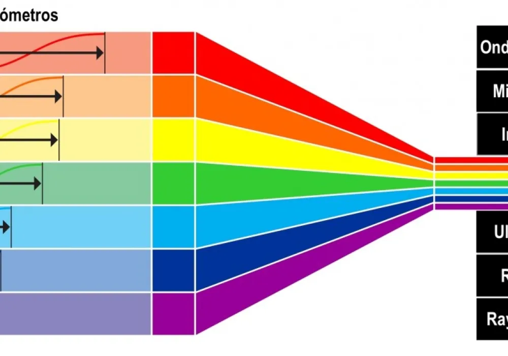 Escala visual
