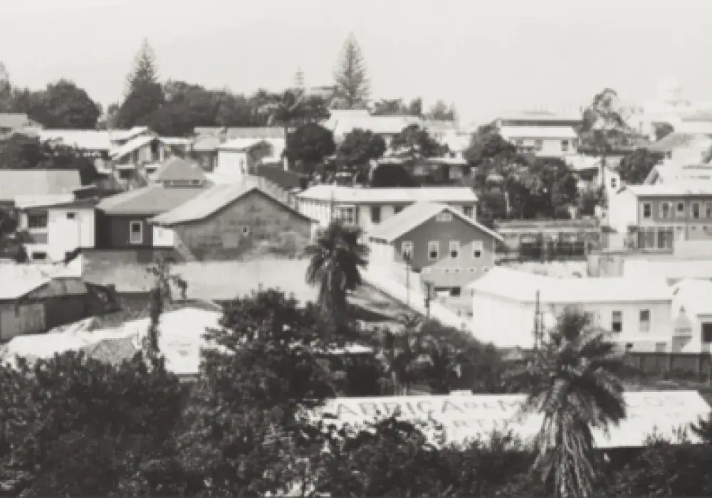 Barrio Amón