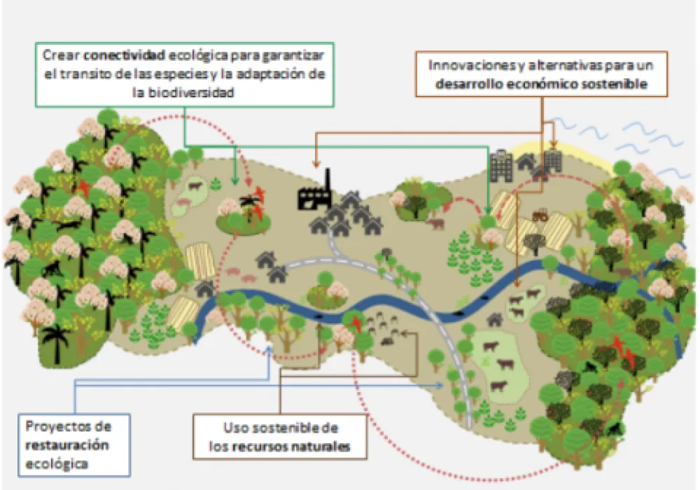 Infografía