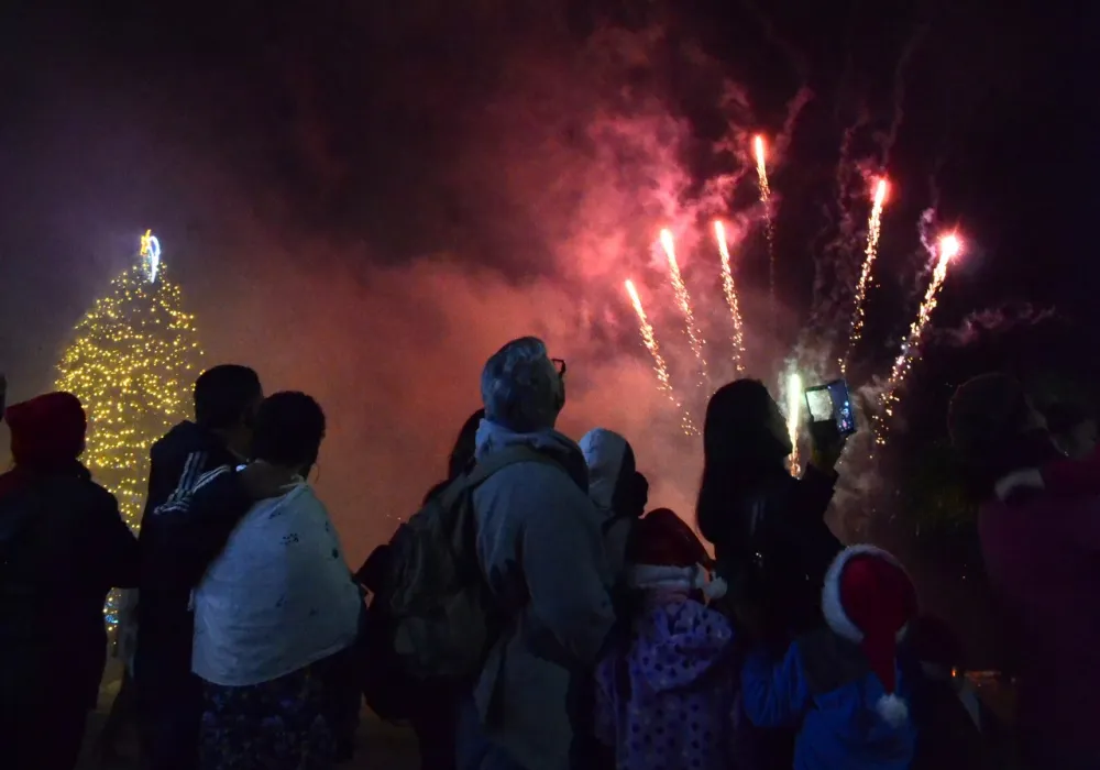 Fuegos artificiales