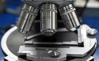 Microscopio