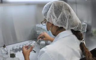 Investigadora realizando pruebas de laboratorio