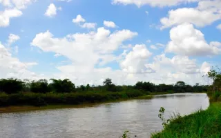 Agua