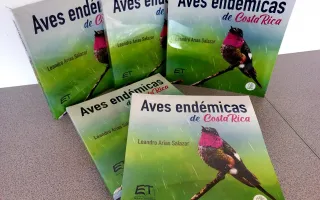Aves 