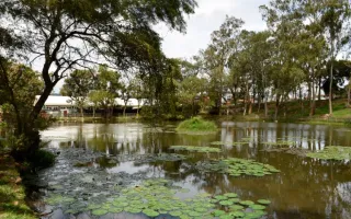 Lago Campus Cartago TEC