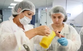 Laboratorio