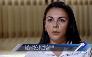 7 Días