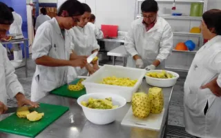 curso_frutas