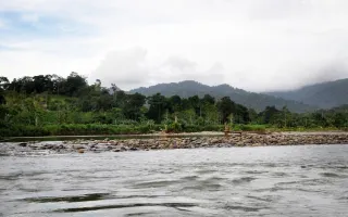 Río Telire