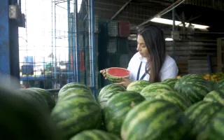 docente inspeccionando frutas