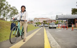 Bicicleta