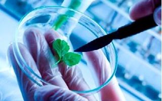 Factores que inciden en los procesos de transferencia de resultados de investigación: la biotecnología en Costa Rica