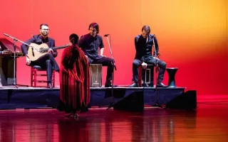 Flamenco presentación