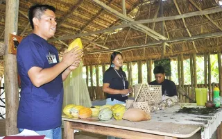 Cacao