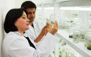 investigadores