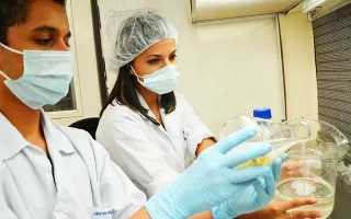 Laboratorio 