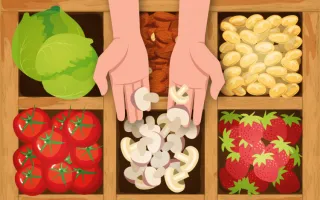 imagenes_nota_de_alimentacion-01