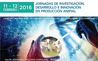 jornada_pa