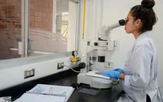 Laboratorio
