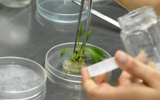 Laboratorio