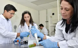 investigadores