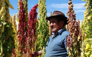 Fotografía de agricultor