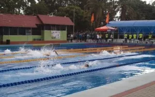 Natacion