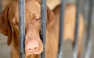 Imagen ilustrativa. Freepik.