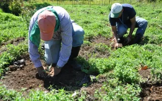agricultores