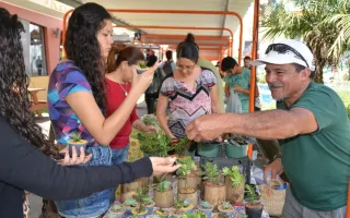 actividad