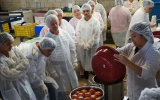 Tomates