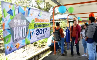 Manta bienvenida