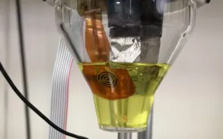 Electrodo flexible de oro