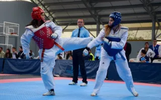 Taekwondo